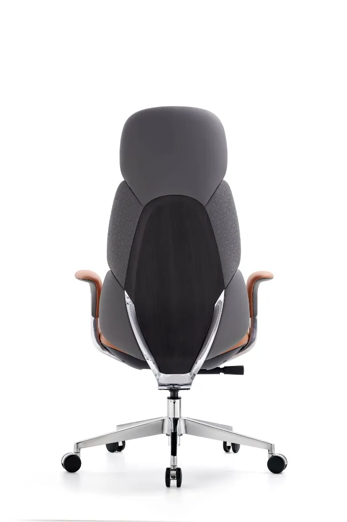 无题目录 02107.webp