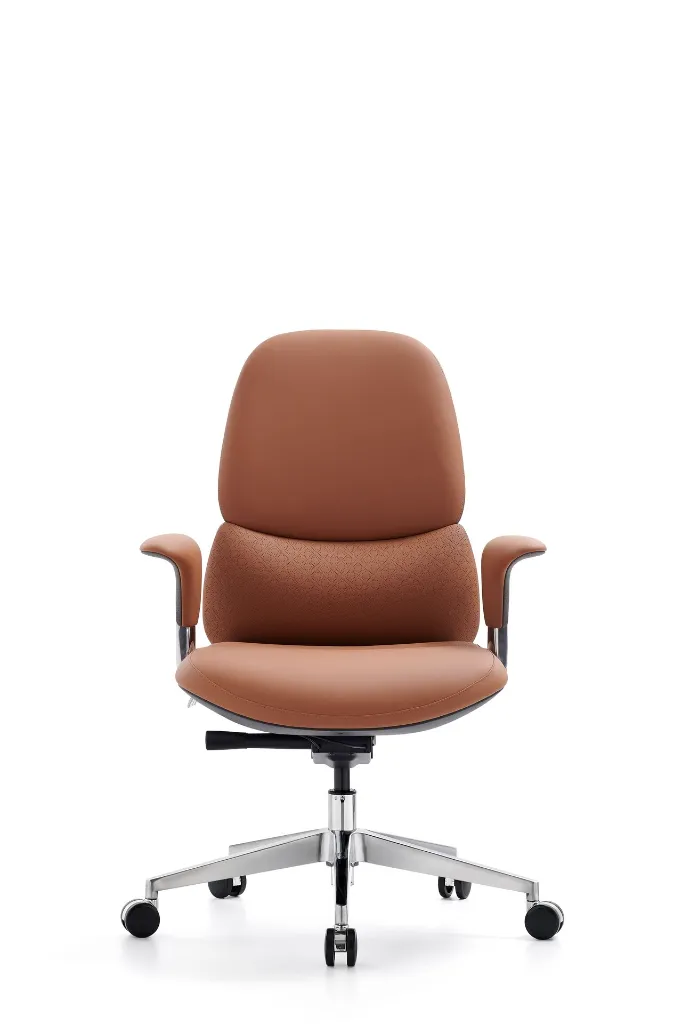 无题目录 02031.webp