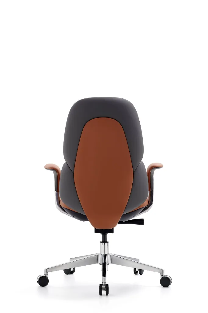 无题目录 02030.webp