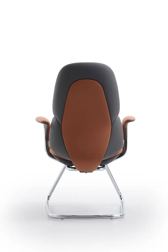 无题目录 01964.webp