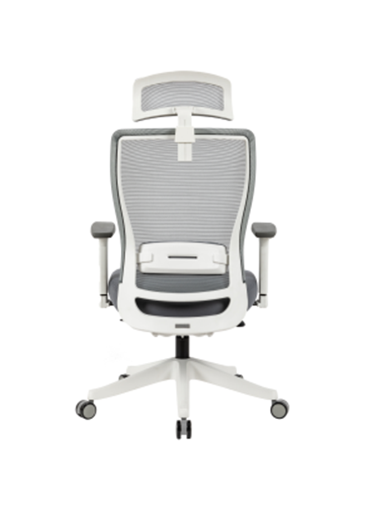 HARDY Ergonomic High Back Office Chair