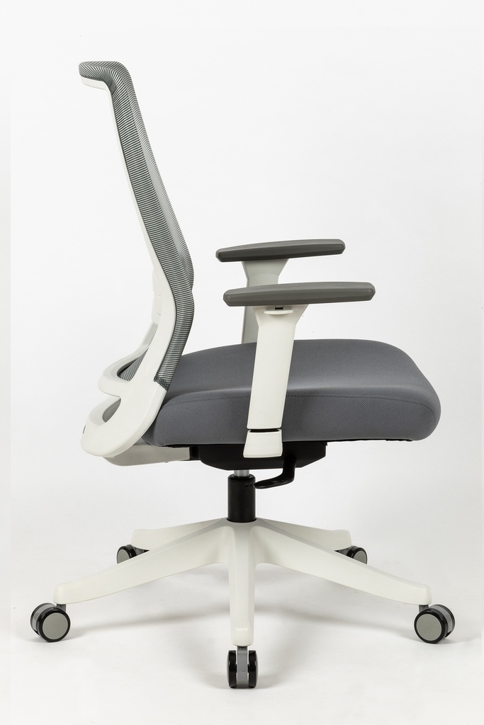 HARDY  Ergonomic Mid Back Office Chair