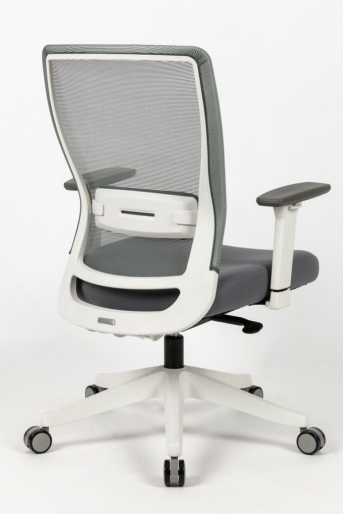 HARDY  Ergonomic Mid Back Office Chair