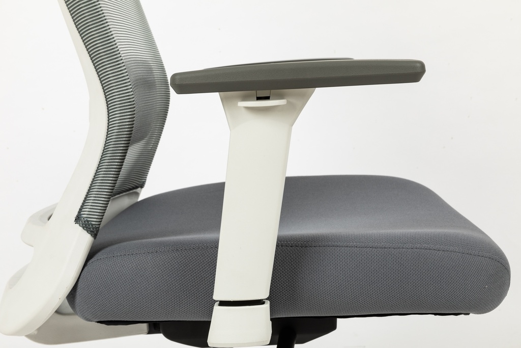 HARDY  Ergonomic Mid Back Office Chair