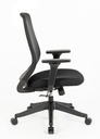 EDDIE Ergonomic Mid Back Office Chair