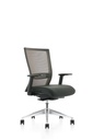 HILITE Ergonomic Task chair