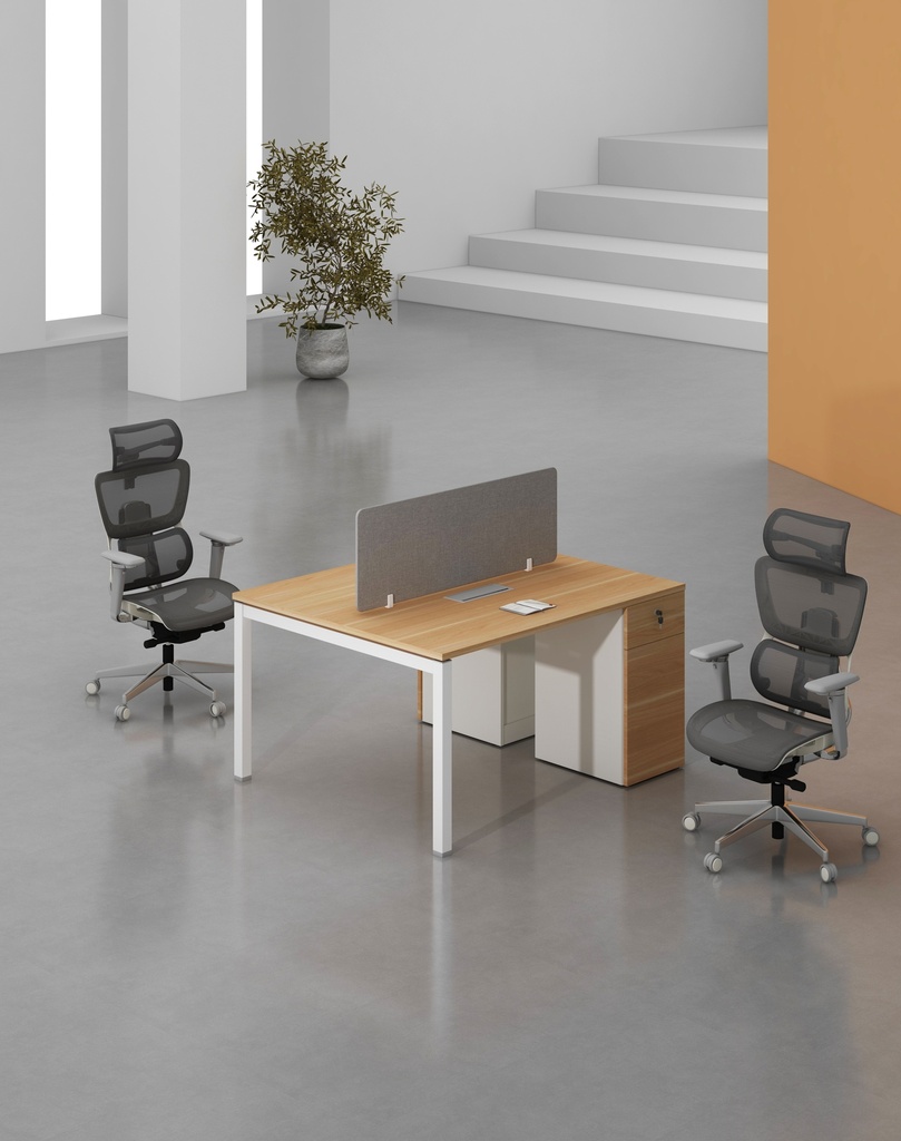 Base Series - Double Side WS (2pax) with Pedestal (1D+1F)