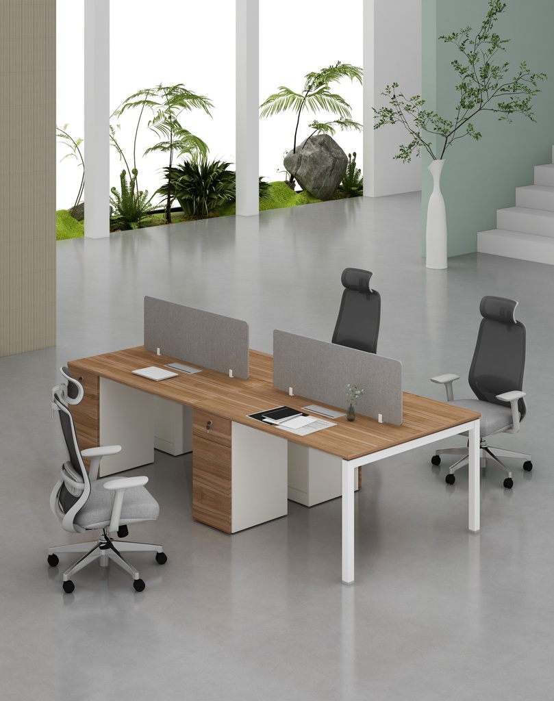 Base Series - Double Side WS (4pax) with Pedestal (1D+1F)