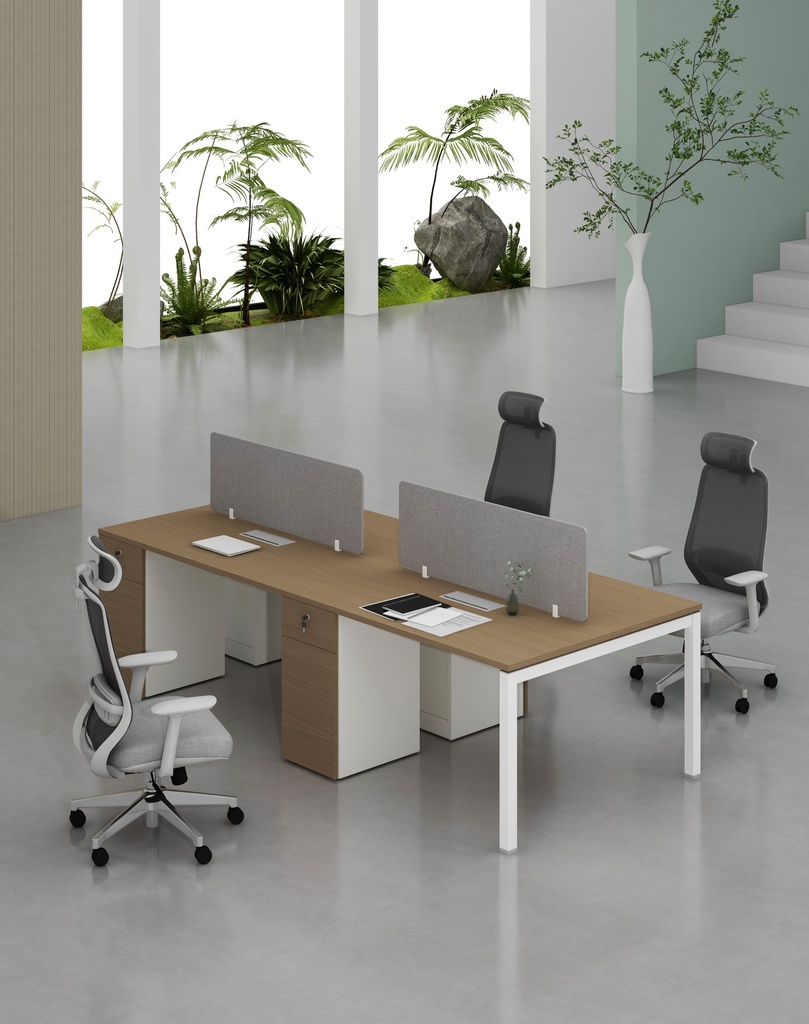 Base Series - Double Side WS (4pax) with Pedestal (1D+1F)