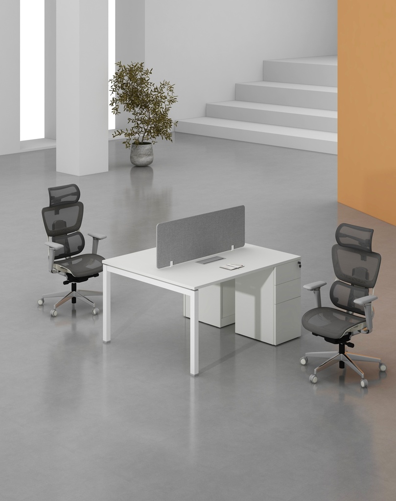 Base Series - Double Side WS (2pax) with 3D Pedestal