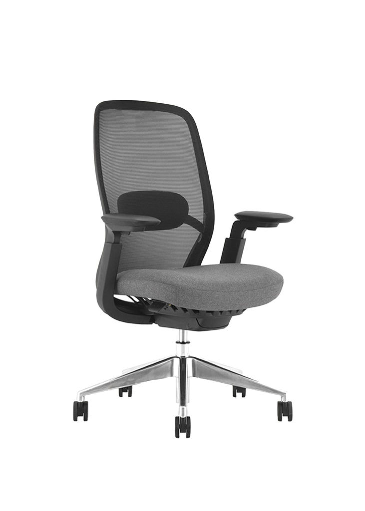 OASIS Ergonomic Mid Back Mesh Chair 