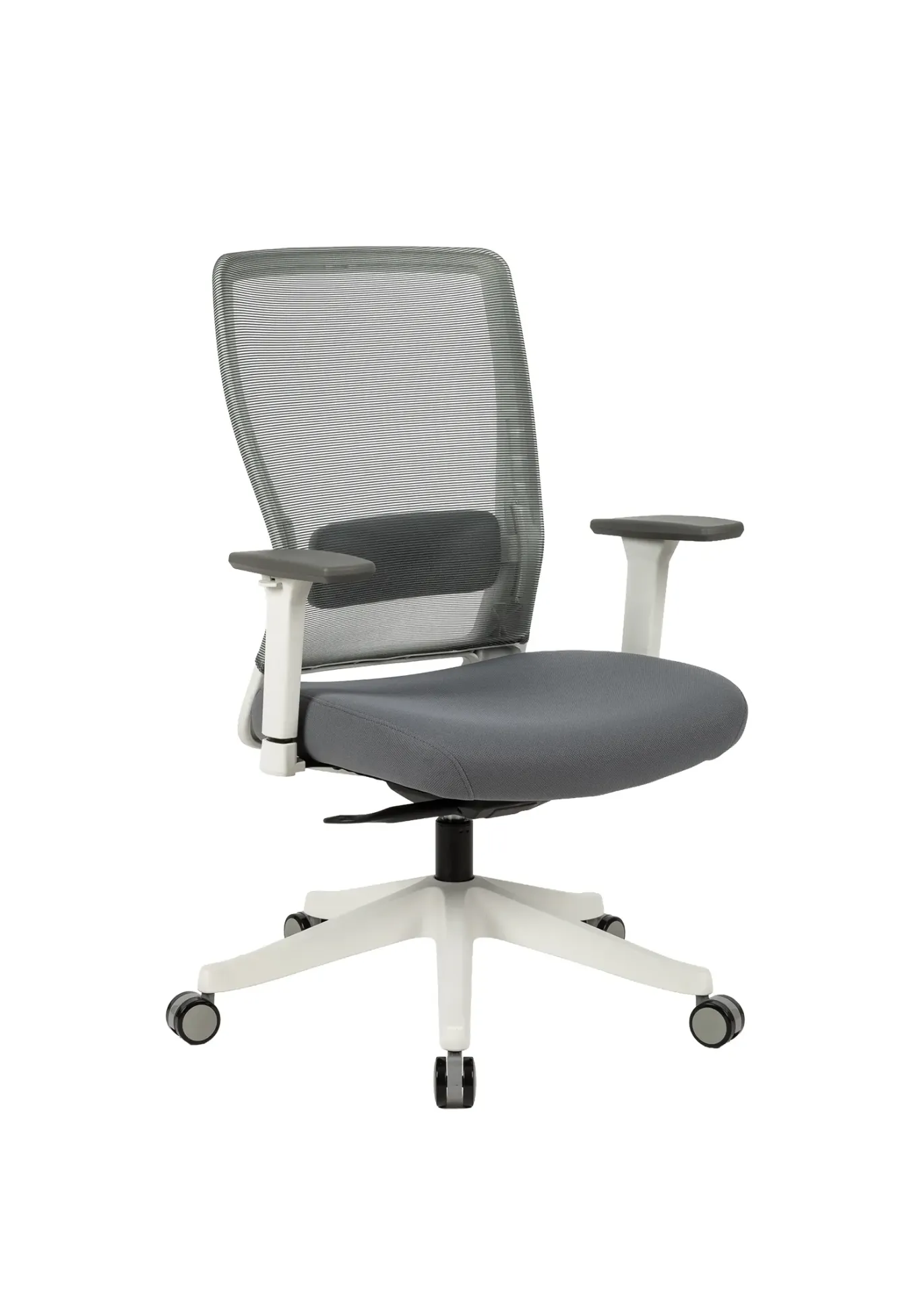 HARDY  Ergonomic Mid Back Office Chair