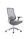 IVES Ergonomic Mid Back Mesh Chair