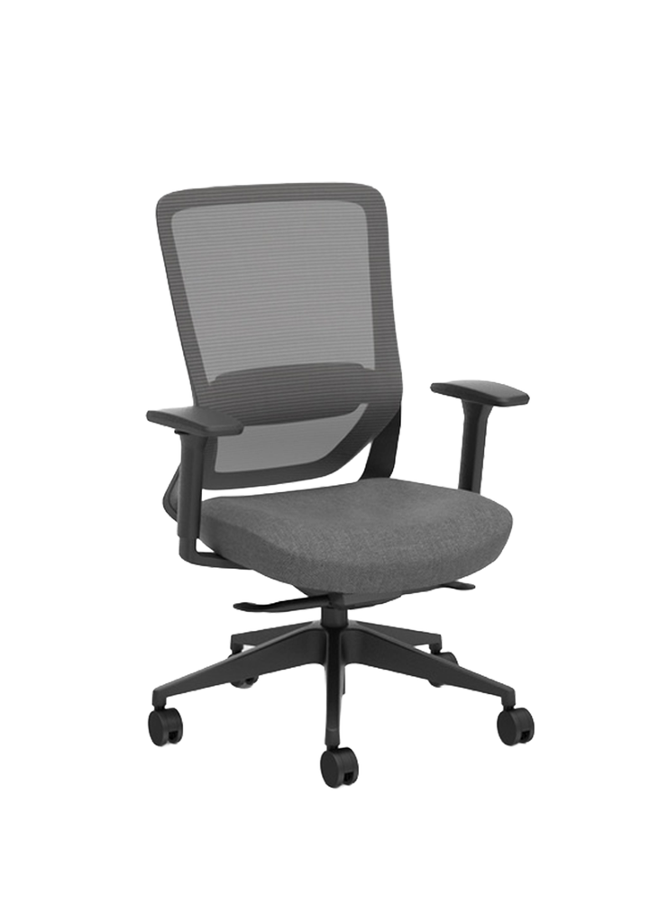 NANO Ergonomic Mid Back Office Chair