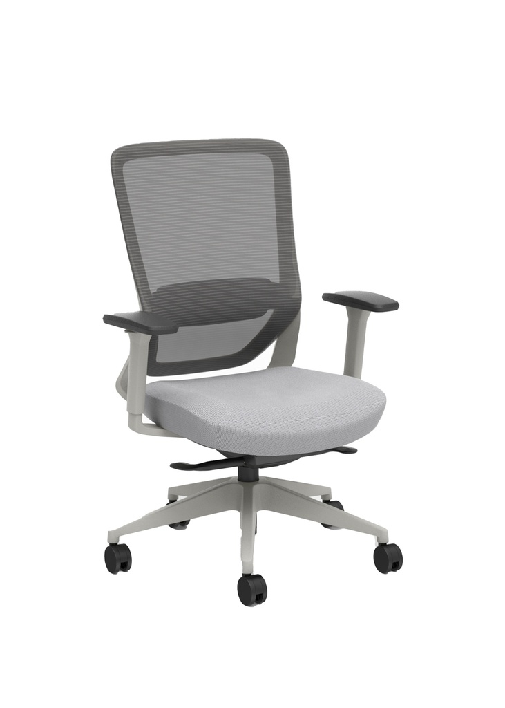 NANO Ergonomic Mid Back Office Chair