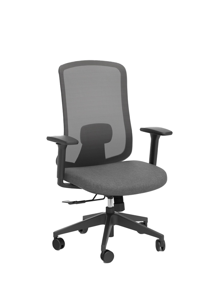 ERGO Ergonomic Mid Back Office Chair