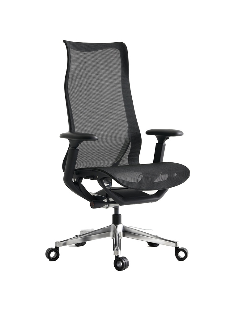FOLIO Ergonomic High Back Mesh Chair