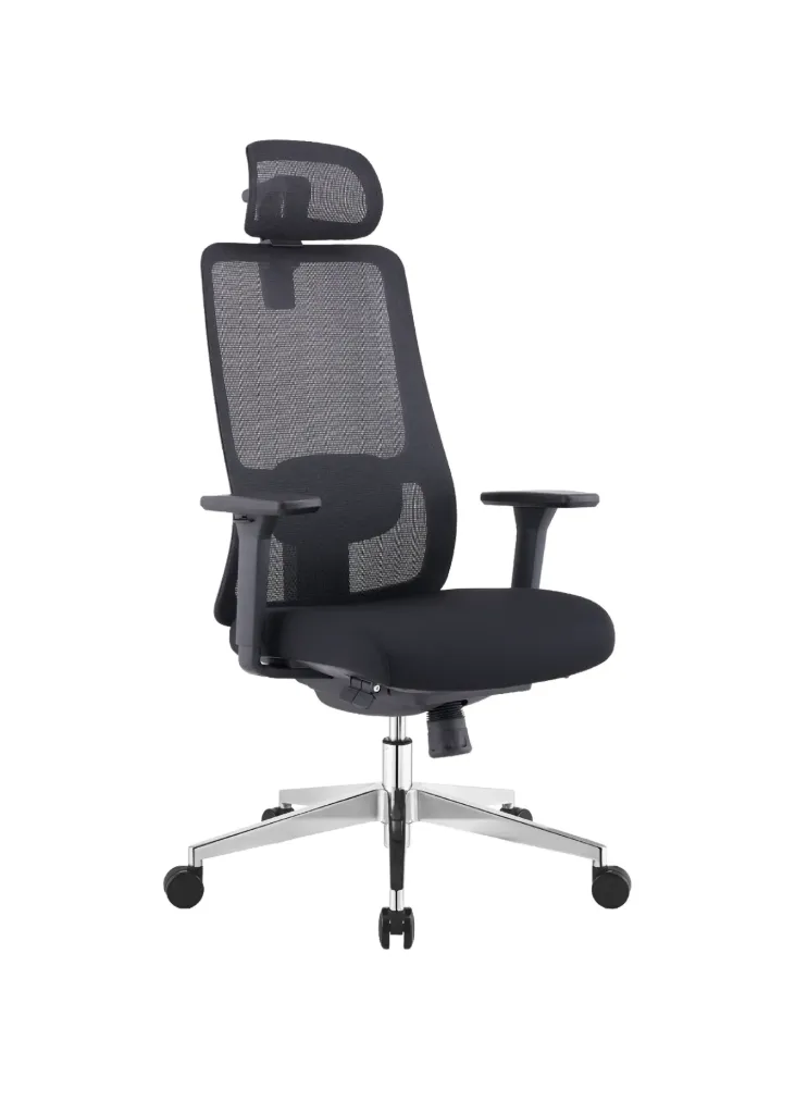 ZEN Ergonomic High Back Office Chair