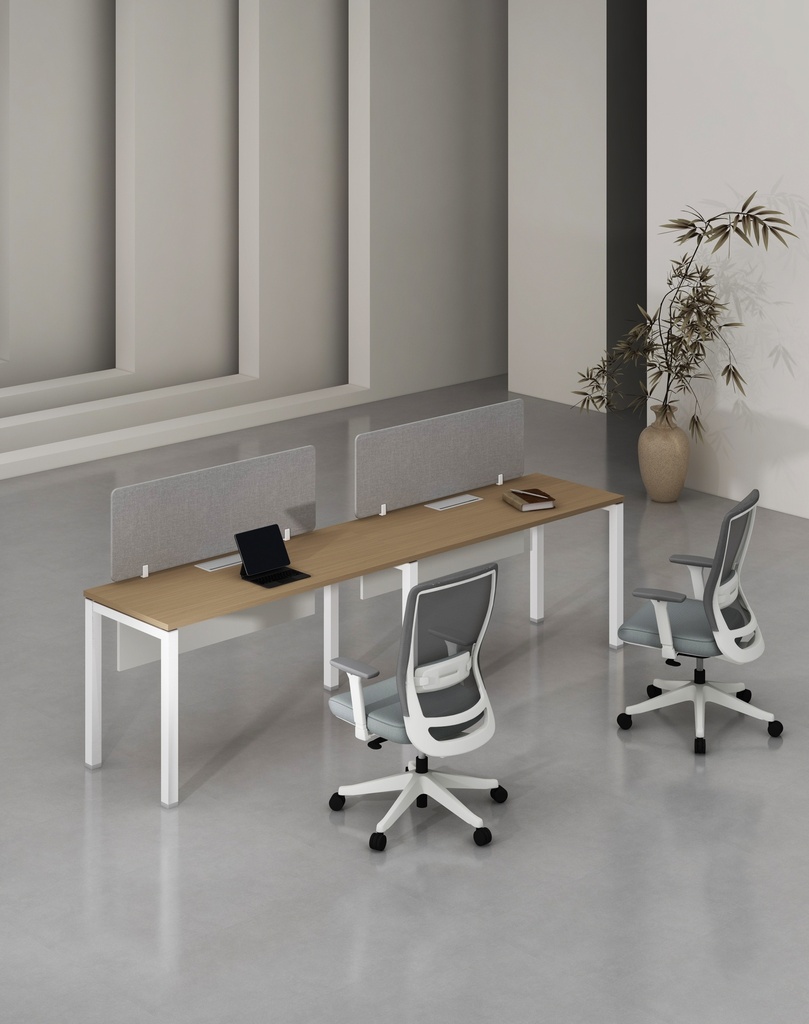 Base Series - Single Side WS (2pax) 