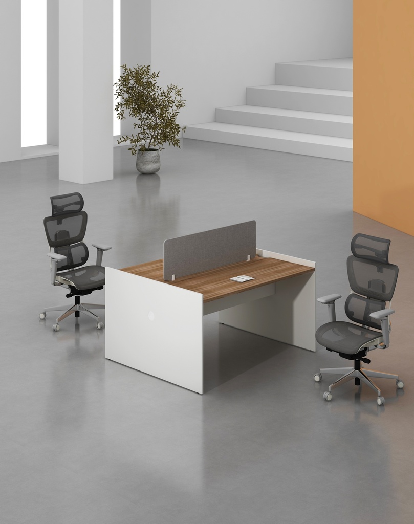 Feta Series - Double side workstation (Cluster of 2)