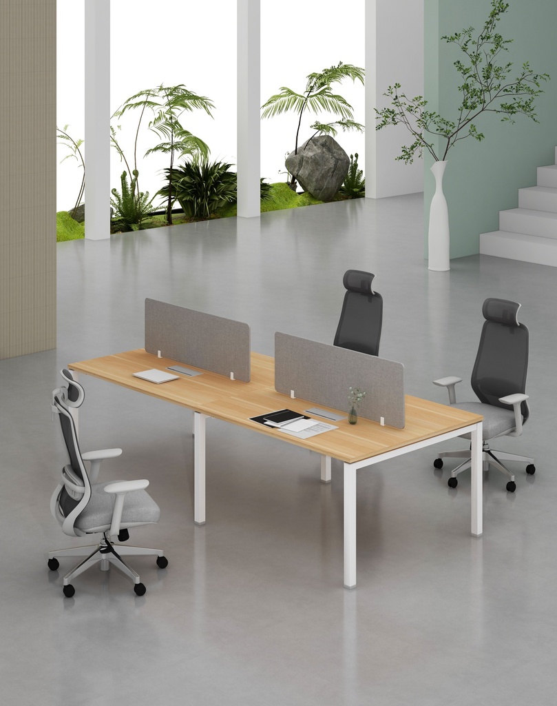 Base Series - Double Side WS (4pax) 