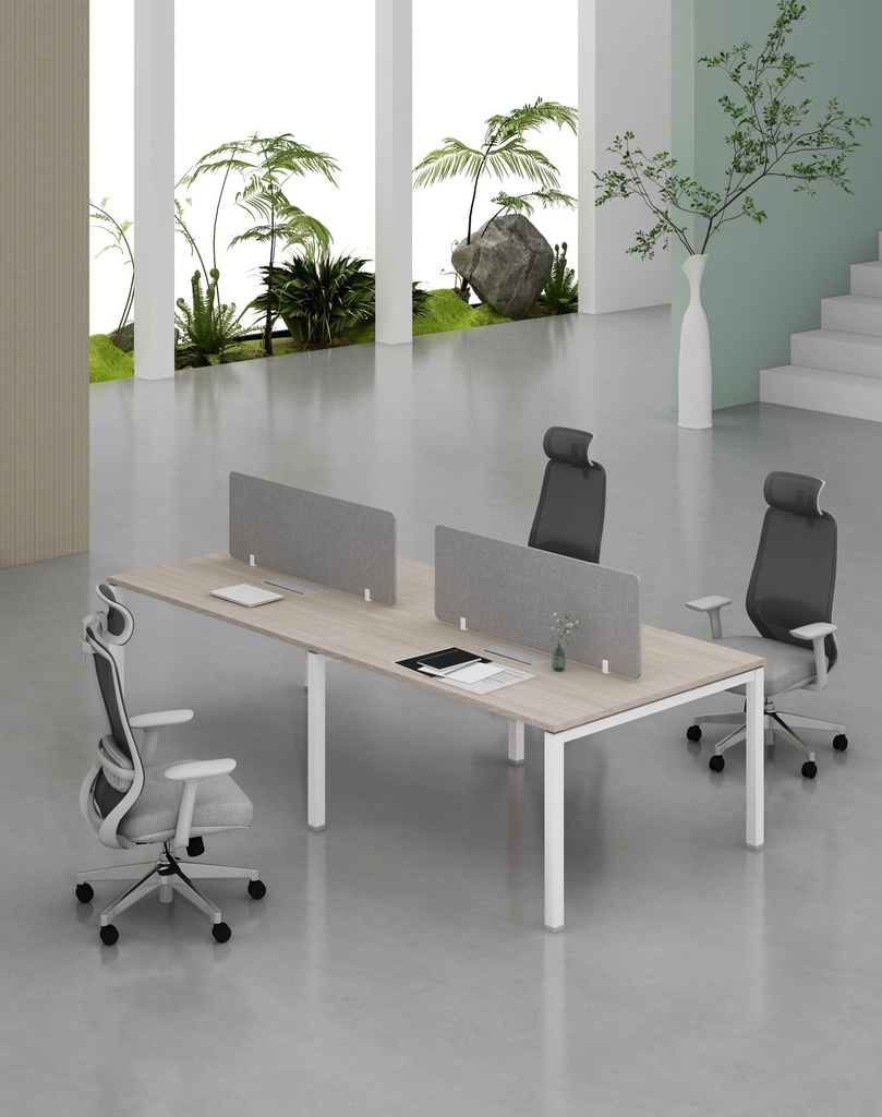 Base Series - Double Side WS (4pax) 