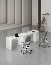 Feta Series - Single side workstation (Cluster of 2) with Pedestal having 1 drawer and 1 filing cabinet