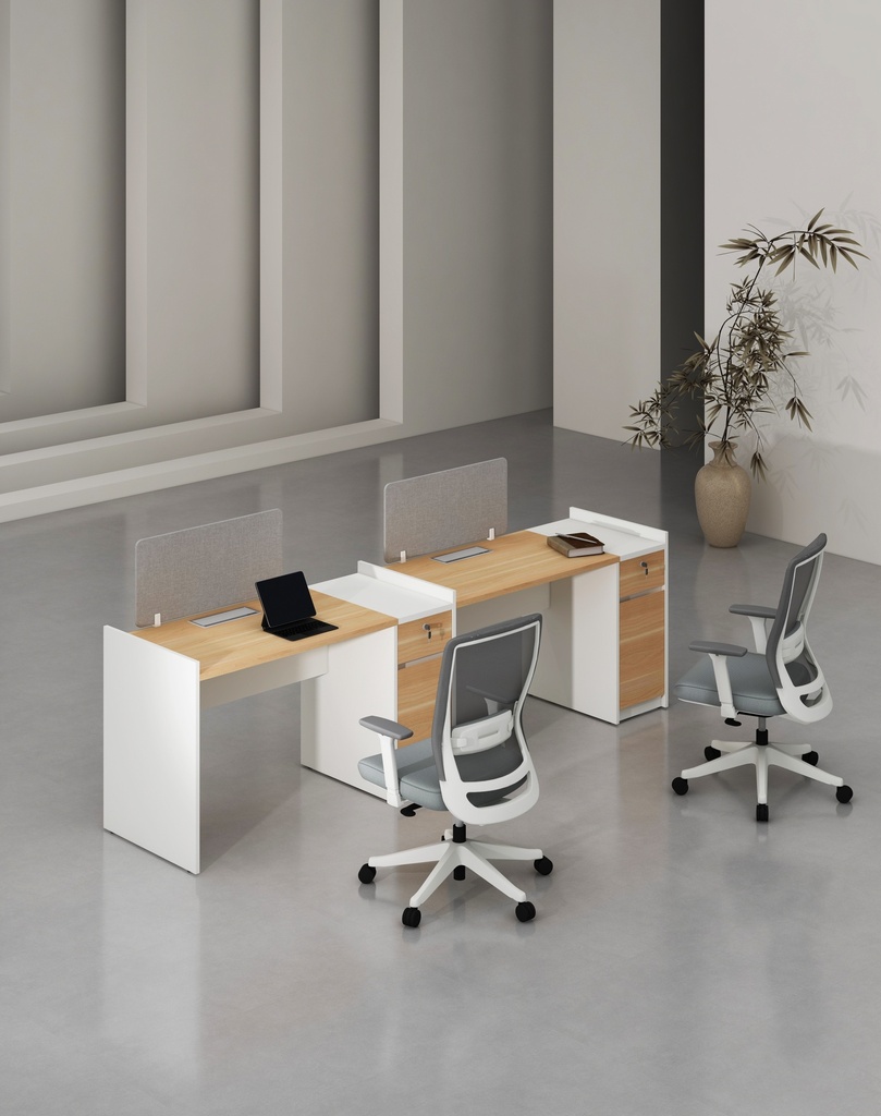 Feta Series - Single side workstation (Cluster of 2) with Pedestal having 1 drawer and 1 filing cabinet