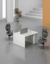 Feta Series - Double side workstation (Cluster of 2) with Pedestal having 1 drawer and 1 filing cabinet