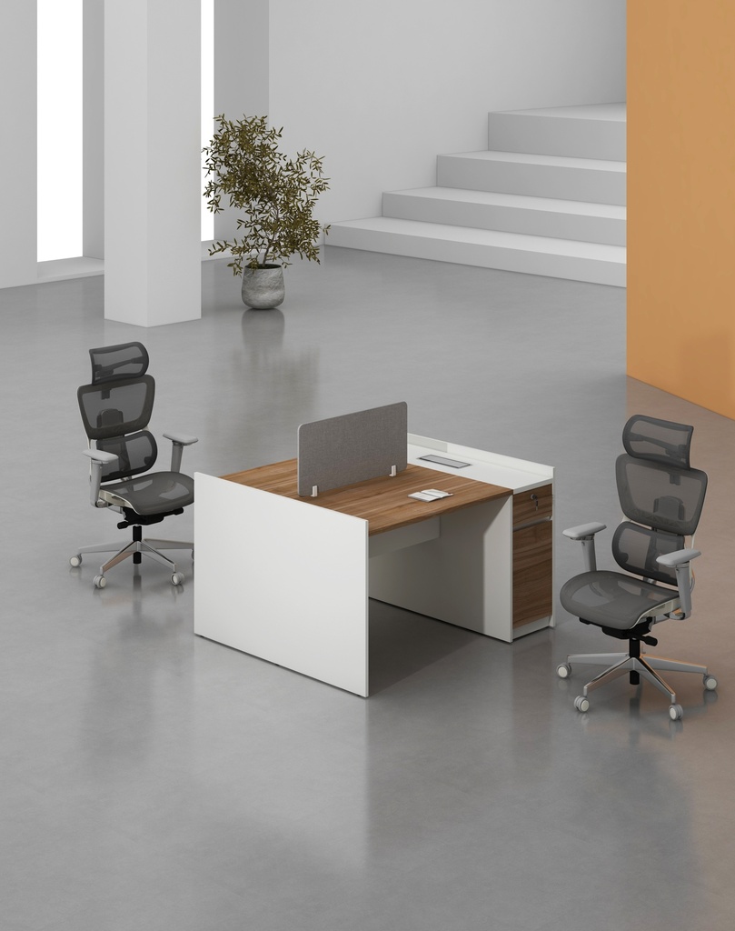 Feta Series - Double side workstation (Cluster of 2) with Pedestal having 1 drawer and 1 filing cabinet