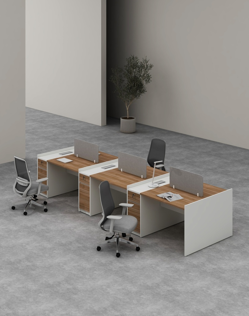 Feta Series - Double side workstation (Cluster of 6) with Pedestal having 1 drawer and 1 filing cabinet