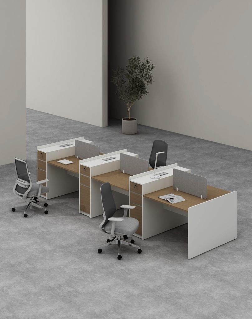 Feta Series - Double side workstation (Cluster of 6) with Pedestal having 2 drawers and 1 filing cabinet