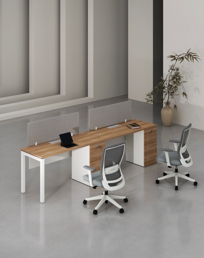 Base Series - Single Side WS (2pax) with Pedestal (1D+1F)